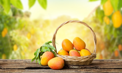 Crafting Success for Alphonso Mangoes-1